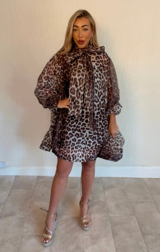 Danni leopard dress